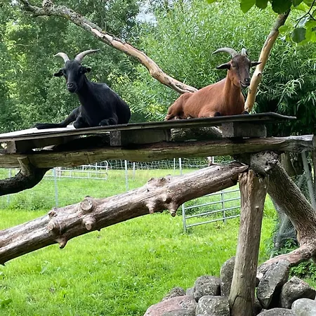 Haus Am Wald, Rotfichte, 4 Schlafz, Im Norden Hamburgs * Lutzhorn